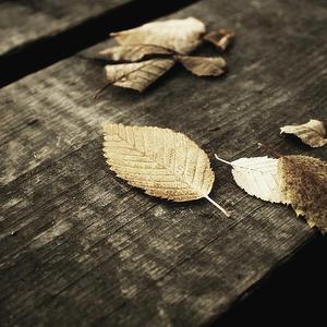 米塔 本子在哪找
